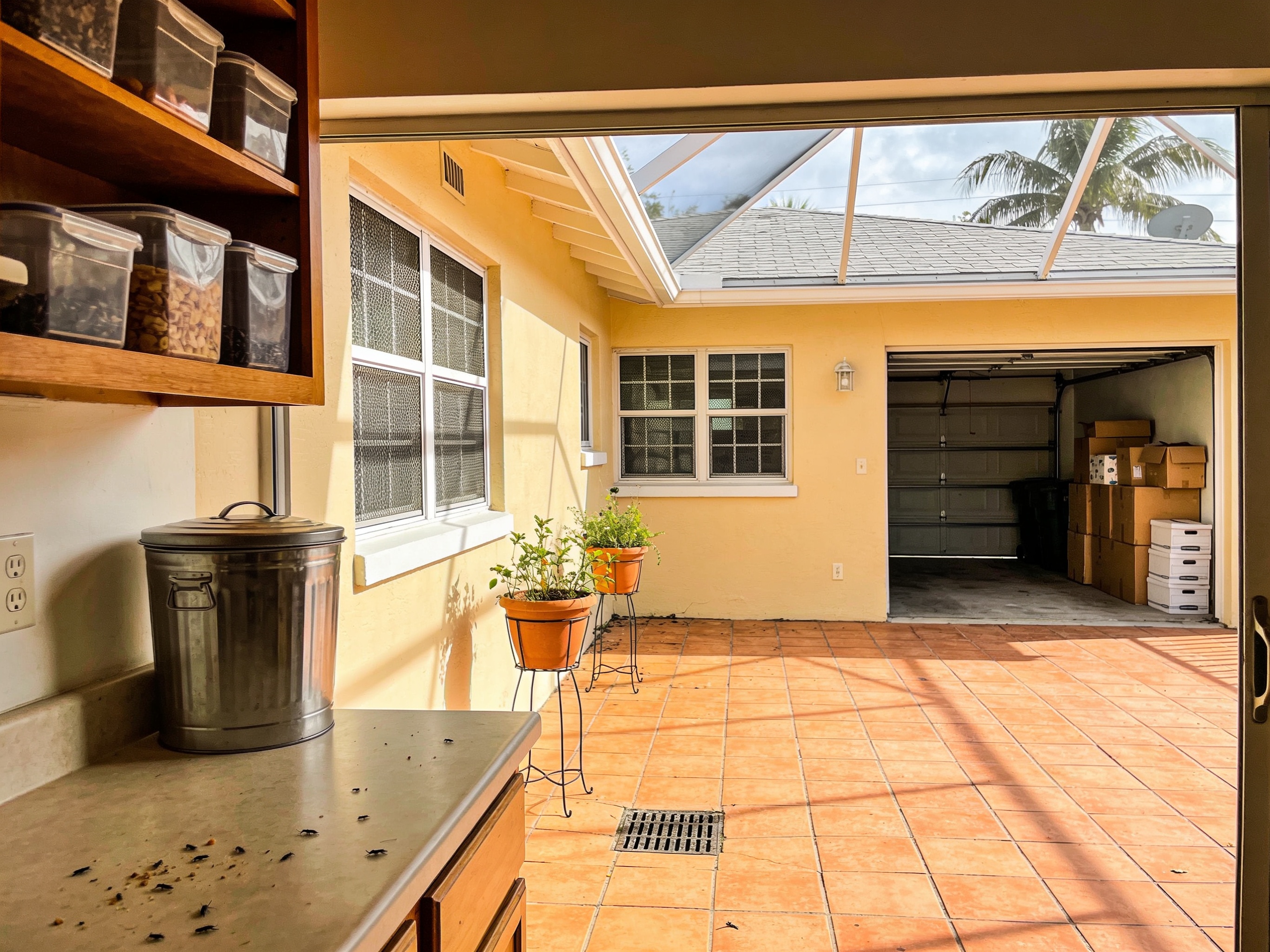 Cockroach Prevention in Miami: A Guide to a Pest-Free Home